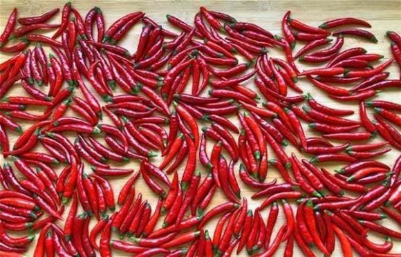 ớt, bảo quản ớt, mẹo hay