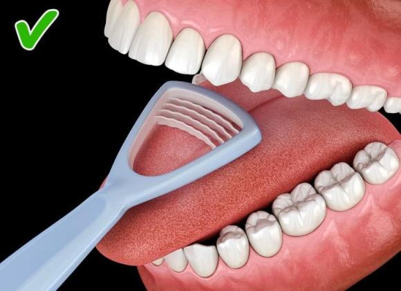 vệ sinh cơ thể, bộ phận cơ thể, chăm sóc cơ thể, 