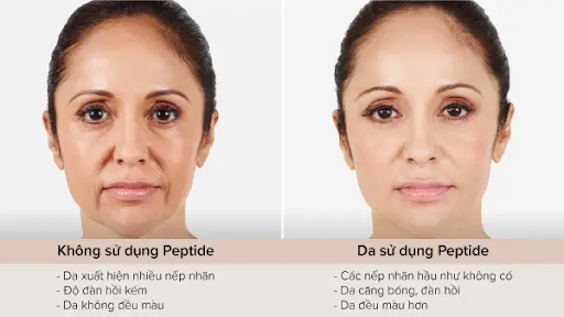 Tác dụng của Peptide và những lưu ý khi sử dụng Peptide chăm sóc da